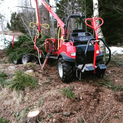 Hjulhästen